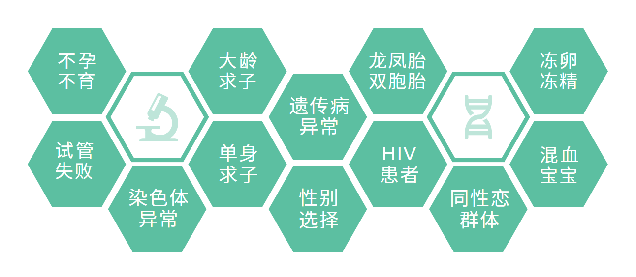适用人群