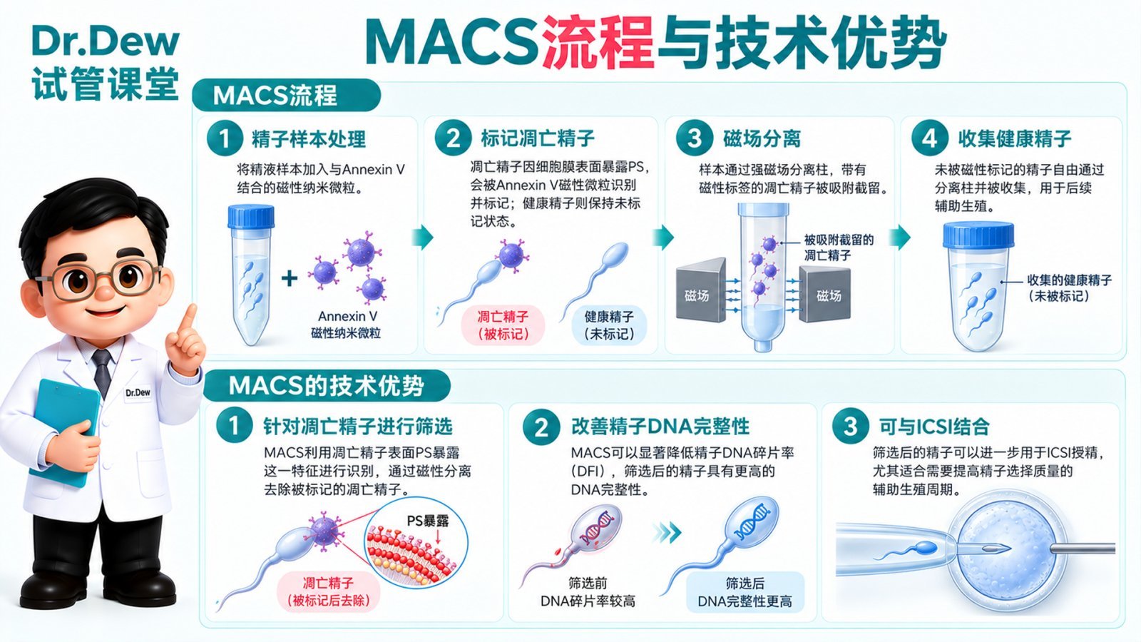 MACS流程与技术优势示意图